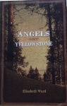 Angels over Yellowstone by elisabeth ward