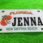 “New Smyrna Swing” by D.D. Queens awarded a 1st Place Blue Ribbon INDIE Manuscripts Div., Mystery Suspense Div.