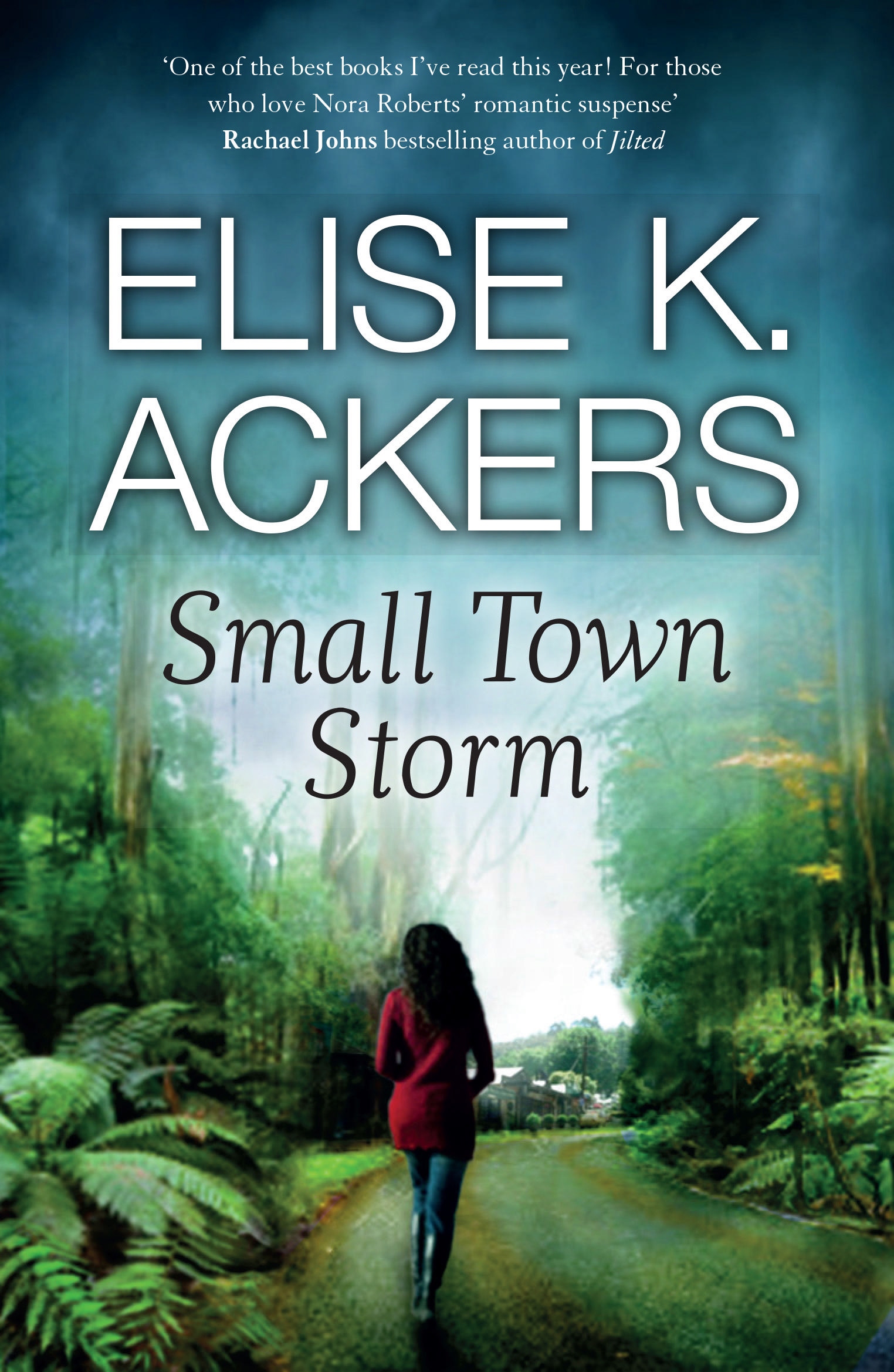 SMALL TOWN STORM by Elise K. Ackers – a chilling and dark contemporary thriller