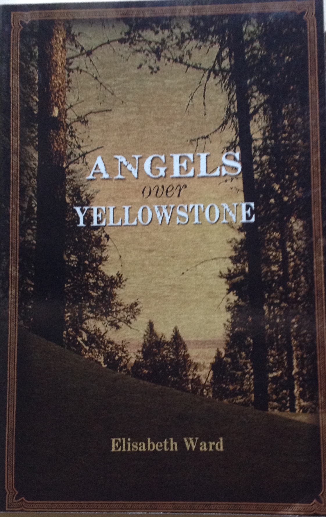 ANGELS OVER YELLOWSTONE by Elisabeth Ward – a richly drawn saga