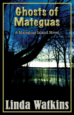 GHOSTS OF MATEGUAS by Linda Watkins, haunting American Gothic