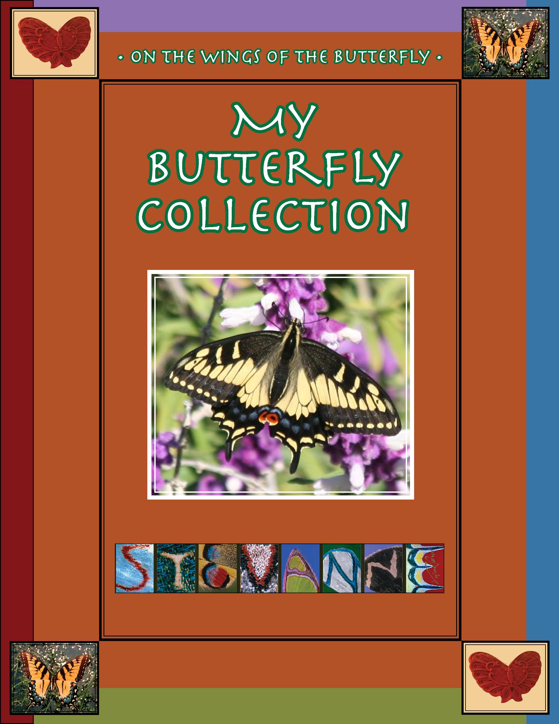 MY BUTTERFLY COLLECTION: On the Wings of a Butterfly by Stevanne Auerbach – Nature Books, Biology, Entomology