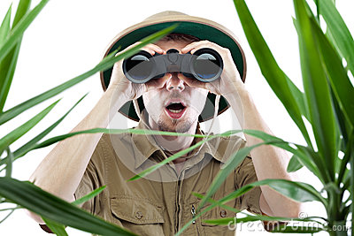 The Ropes Around Research for the Accurate Writer — Chanticleer Toolbox Article by David Beaumier