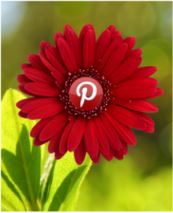 USING PINTEREST as an AUTHOR TOOL by  Claire McKinney P/R