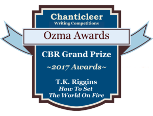 Ozma Grand Prize Winner badge for How to Set the world on Fire