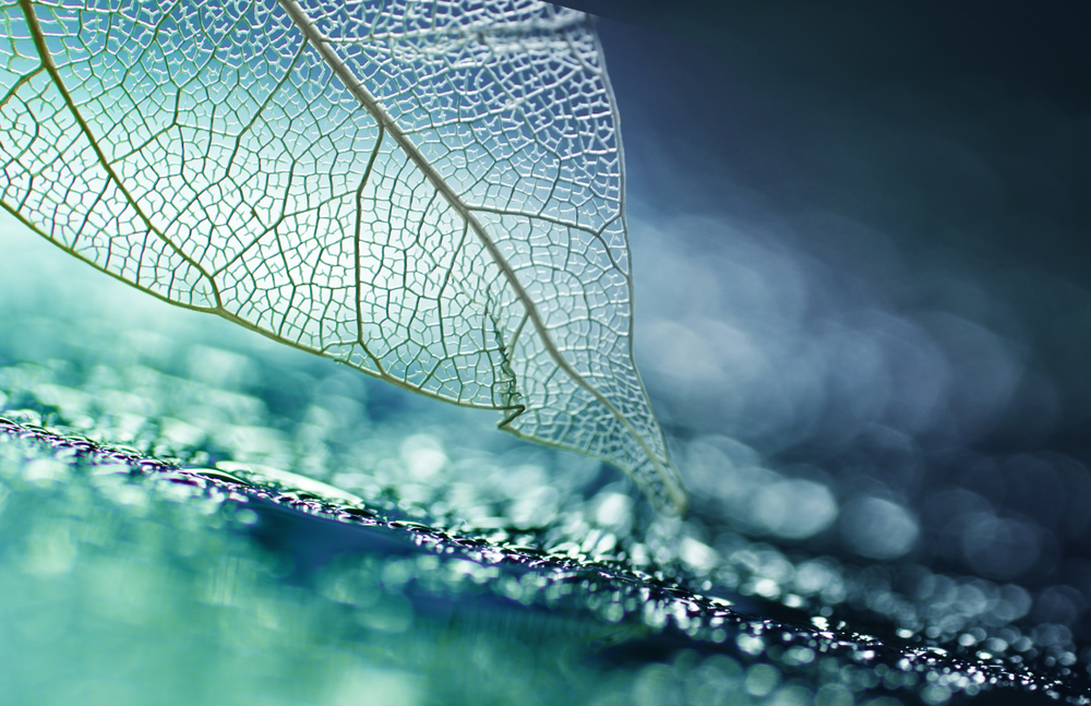 ELEMENTS of SUCCESSFUL FICTION – Writing Fiction Guidelines by Jessica Morrell – Writers Toolbox Series