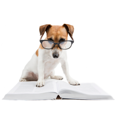 CELEBRATING CHILDREN’S BOOKS with GERTRUDE WARNER Awards for Middle-Grade Readers – Action/Adventure, Coming of Age, Fantasy, Magic, School, Sci-fi