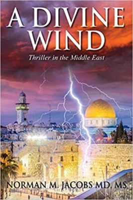 A Divine Wind Book Cover