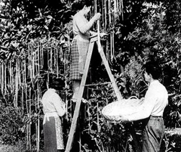 April Fools’ Day — Humor, Satire, and Reading Recommendations | A Chanticleer Toolbox Article