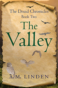 The Valley Cover