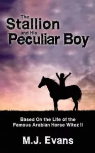 The Stallion and His Peculiar Boy by M.J. Evans