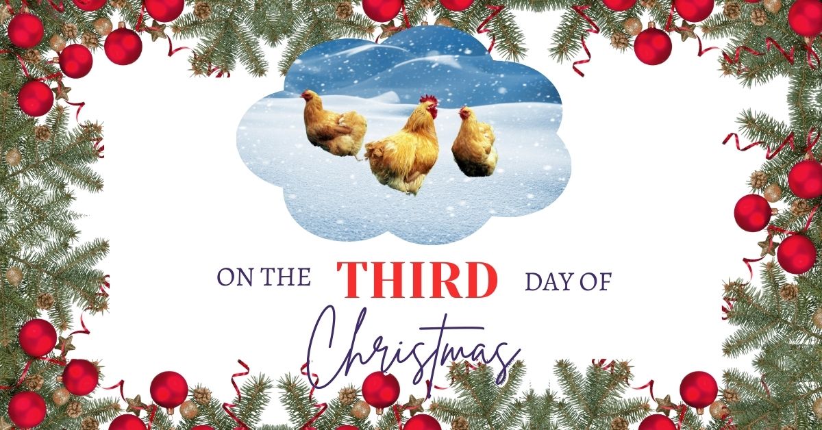On the 3rd Day of Christmas Chanticleer gave to me 3 Pillars of Community! The 12 Days of Christmas 2023