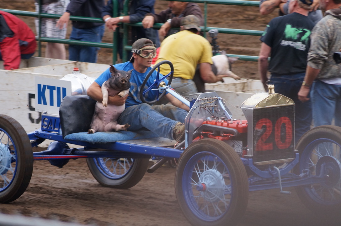 Tillamook, OR Pig and Ford Races