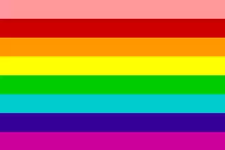 First Gay Pride flag 