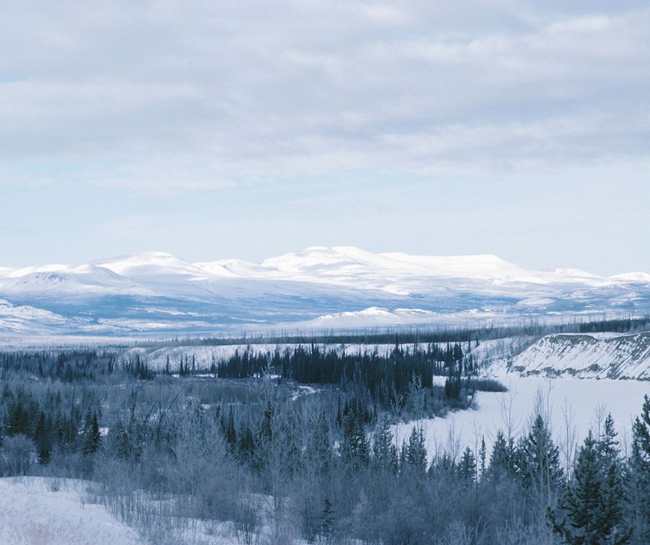 snow, trees, clouds, blue, landscape