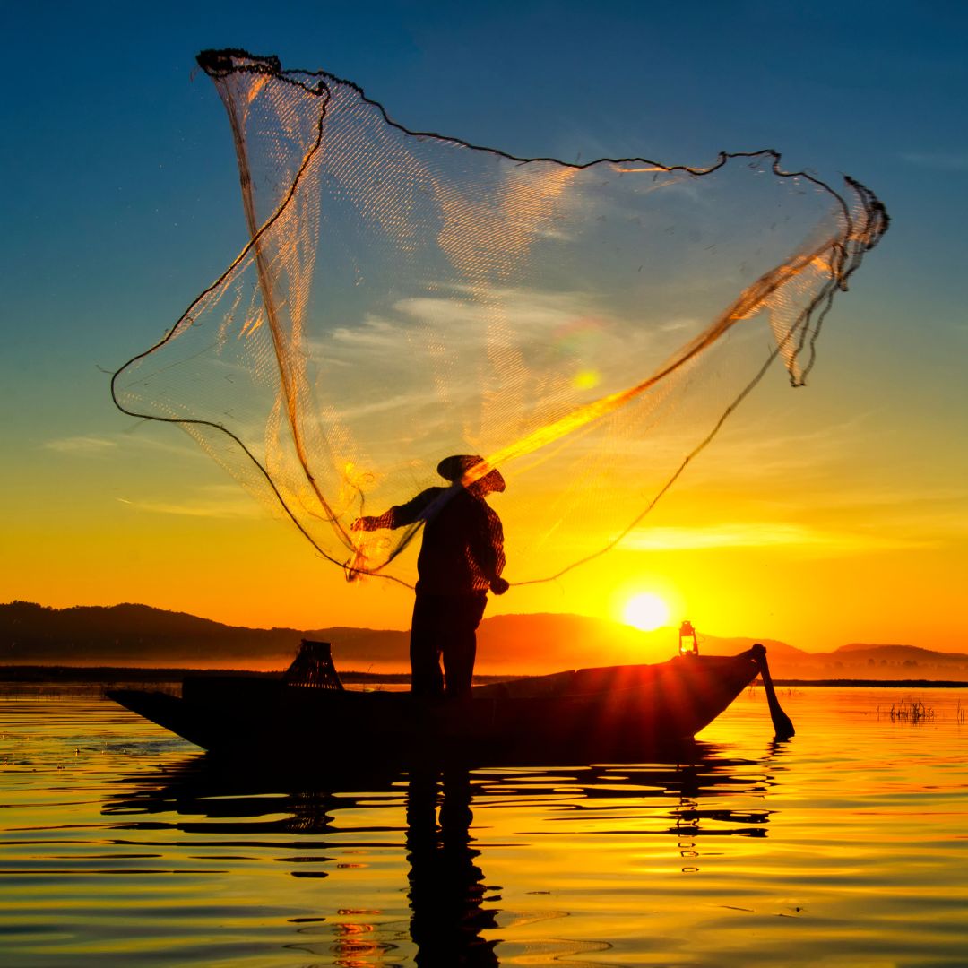 Fishing, sunrise, water, net, fisherman