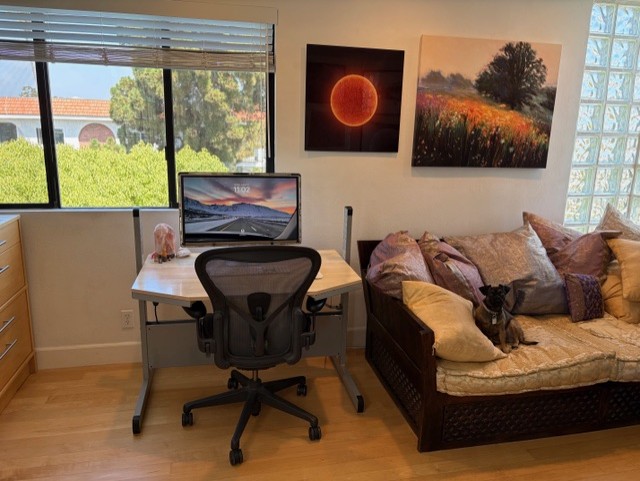Jayson Adams, office chair, office, desk, window, computer, couch